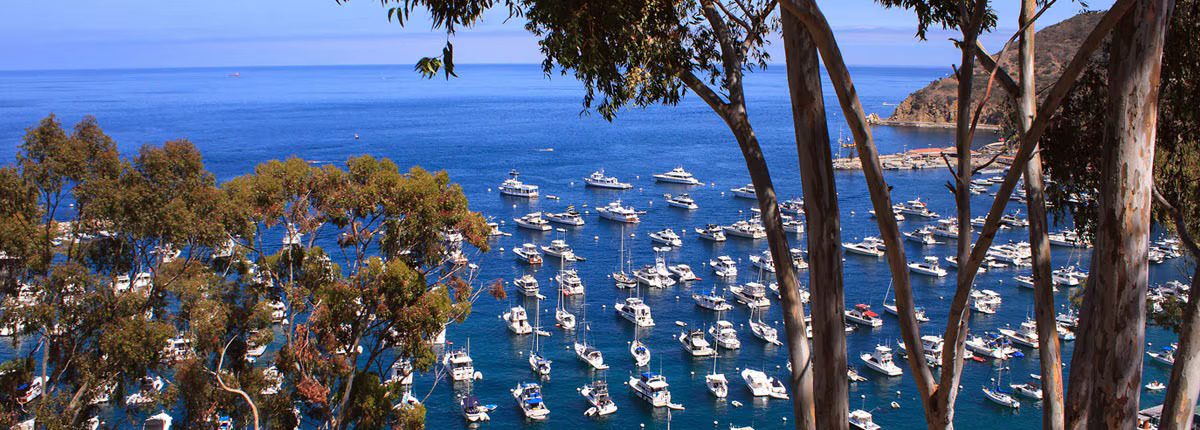 Four-day Baja Mexico cruise from Long Beach